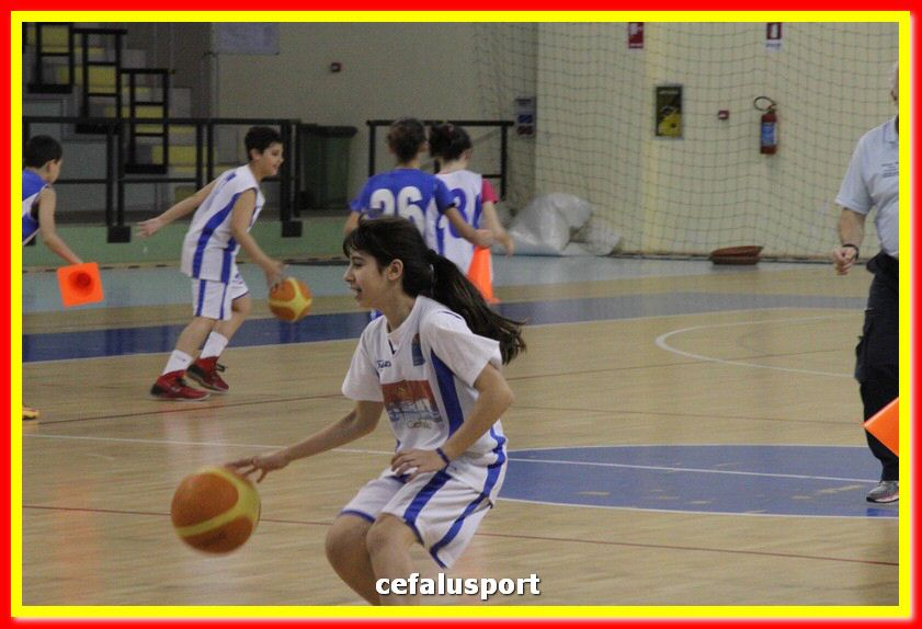 140505 basket 219_tn.jpg